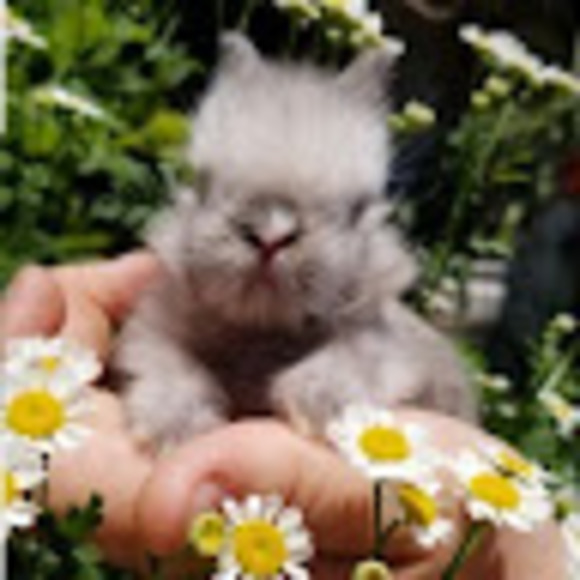 Meet your Posher, Kaity - Picture 1 of 1